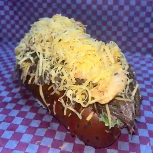 Perro Mixto Especial