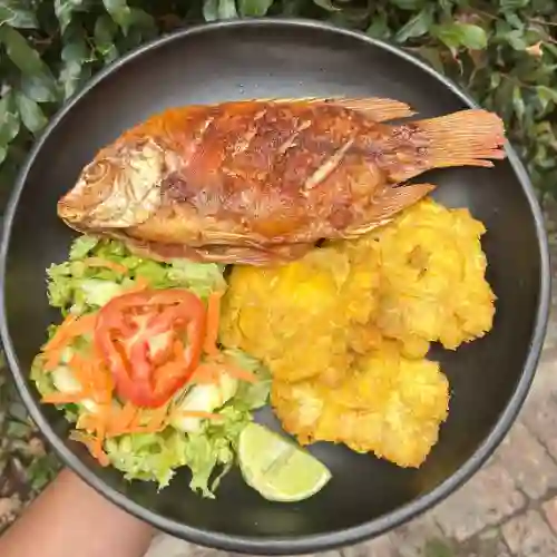 Mojarra Frita