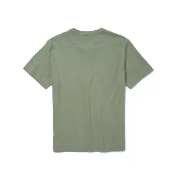 Camiseta Hombre Verde Talla SMALL American Eagle