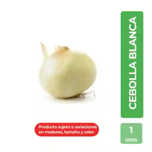 Cebolla Cabezona Blanca