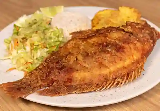 Tilapia Frita