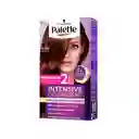 Tinte Palette Color Creme 5-68 Chocolate