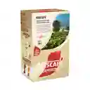 Cappuccino Nescafé Instantáneo 90 g