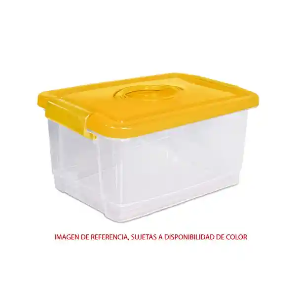 Kendy Caja Organizadora Forte Media 8.5 L N°3