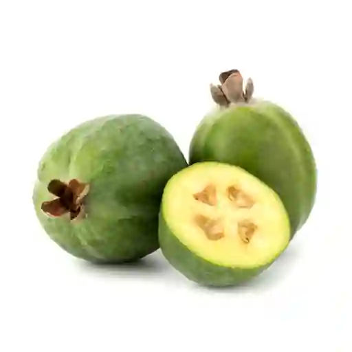 Feijoa X Lb