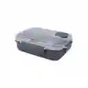 Contenedor Para Alimentos de Serie Negro y Gris Miniso