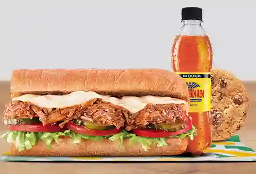 Combo Sándwich Cerdo BBQ 15 Cm