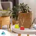Bonaire Ambientador Surtido en Varitas