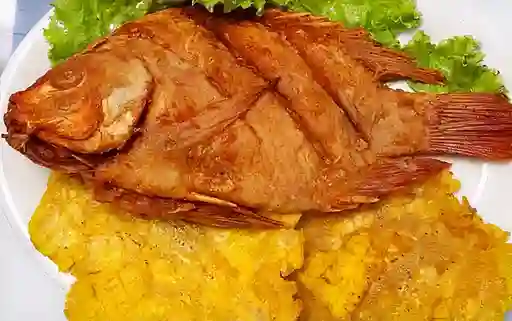 Tilapia Frita