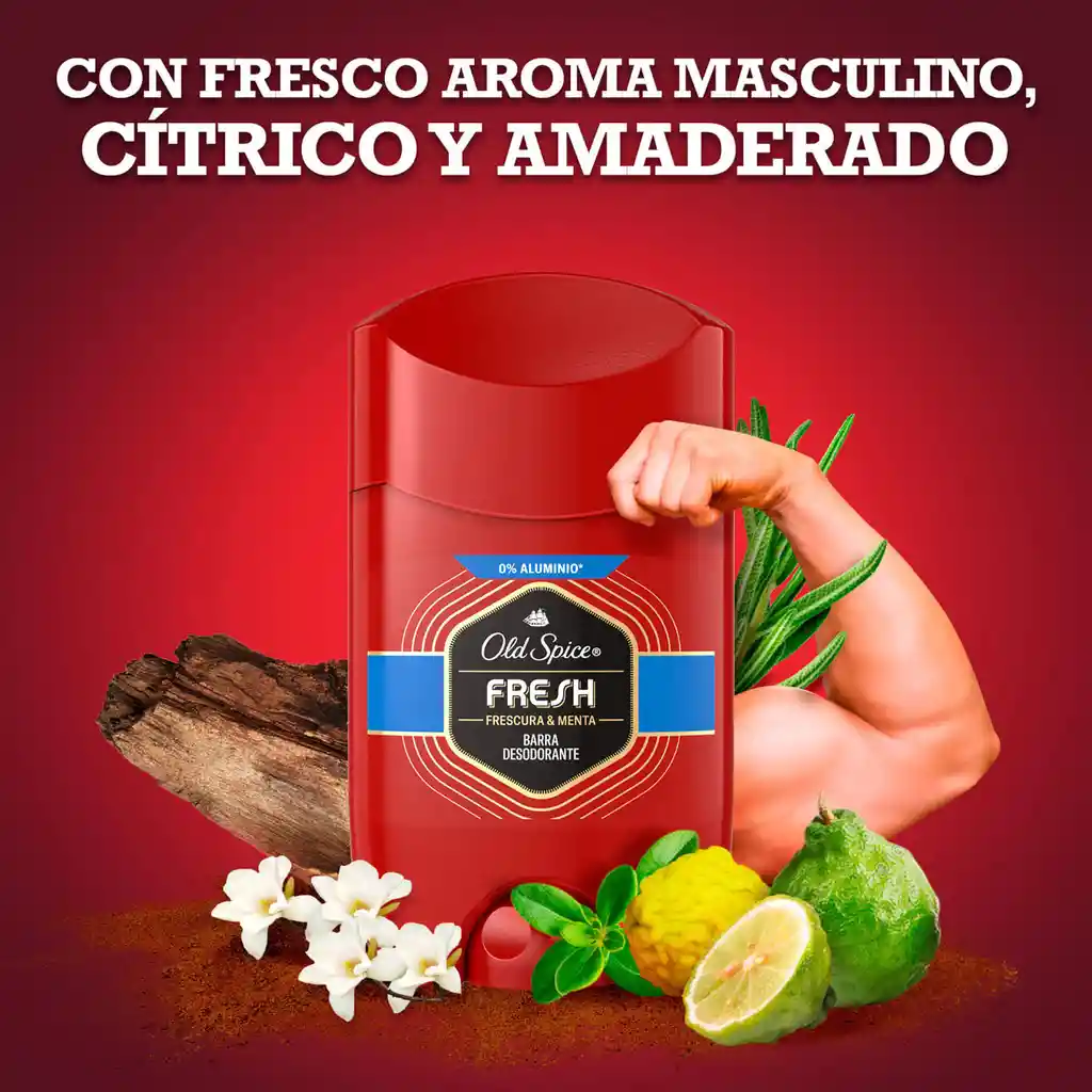 Old Spice Desodorante en Barra Fresh