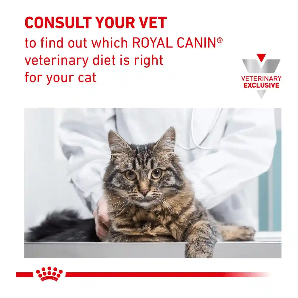 Royal Canin Alimento para Gato Calm