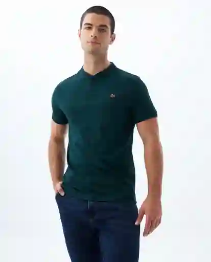 Camiseta Hombre Verde Talla M 800G002_VER195511 Americanino