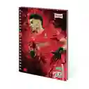 Scribe Cuaderno Argollado Alto Rayado 80 Hojas