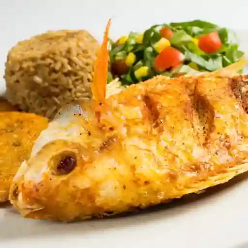 Tilapia Roja Frita