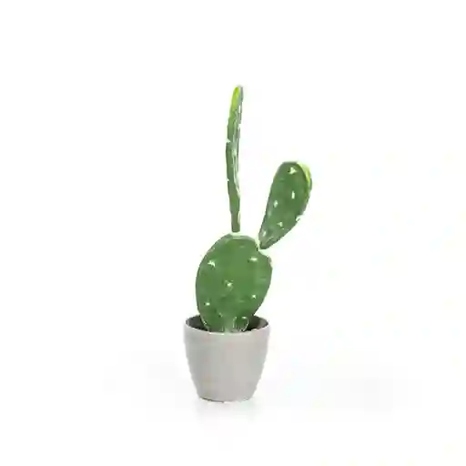 Davalia Matera Rattan Cuadrada N.16