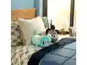 Cojín Animal y Mascota Perro Casaideas