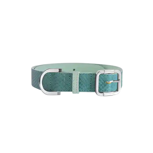 Gdog.Col Collar Azul Mediano