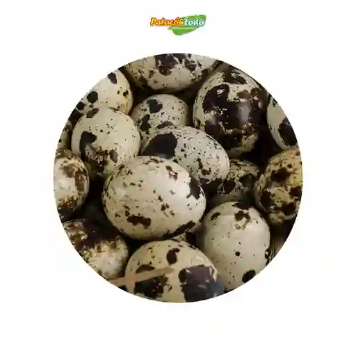 Huevos