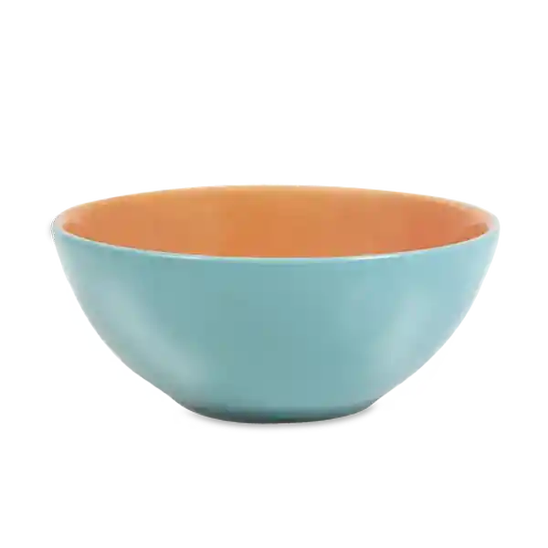 Oxford Bowl Esverdeado Bicolor Naranja/Azul