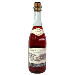 Giotto Vino Rosado Lambrusco