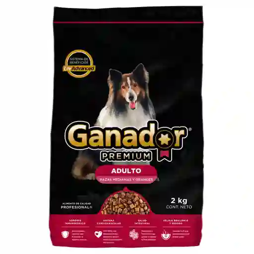 Ganador Alimento Para Perro Seco Adulto Premium Raza Mediana