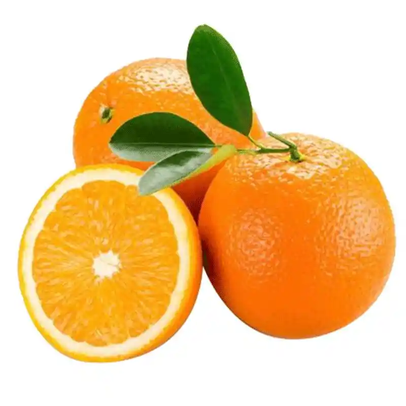 Naranja Común