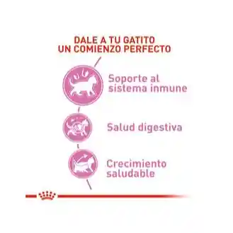 Royal Canin Alimento Para Gato Kitten 2 Kg