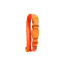 Zeedog Collar Para Perro Neopro Tangerine Talla S