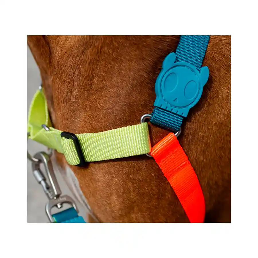 Zeedog Arnés Para Perro Jumper Softwalk Talla L