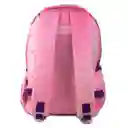 Scribe Morral Mascota 16.5