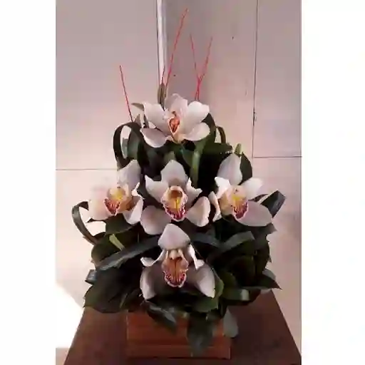 Orquidea Arreglo Ikebana De S Cimbidium