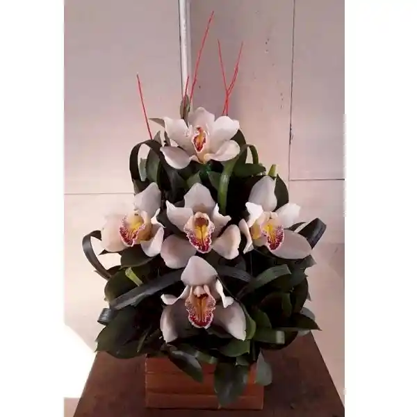 Orquidea Arreglo Ikebana De S Cimbidium