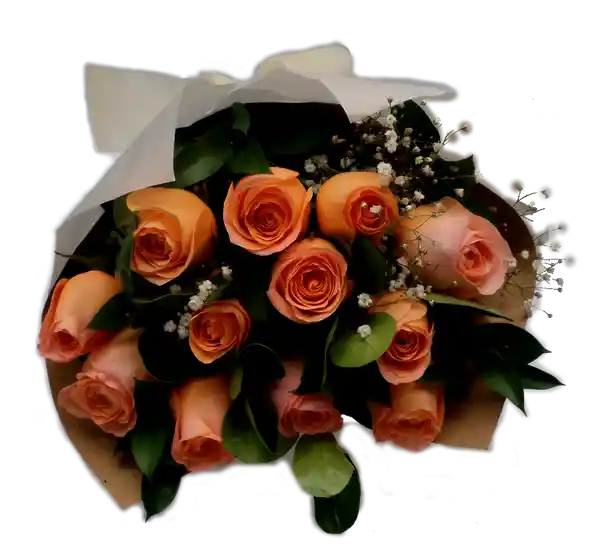 Flores Bouquet 12 Rosas Salmon Frescas