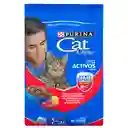 Cat Chow Alimento para Gatos Adultos Carne Forti Defense