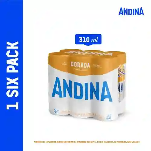 Andina Pack Cerveza