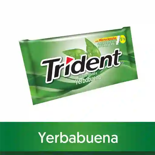 Trident Chicle Yerbabuena Sin Azúcar