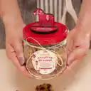 Galletas Avena Frasco 120 G