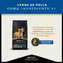 Pro Plan Alimento para Perro Adulto de Raza Pequeña Active Mind
