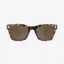 Knockaround Gafas Seventy Tortoise