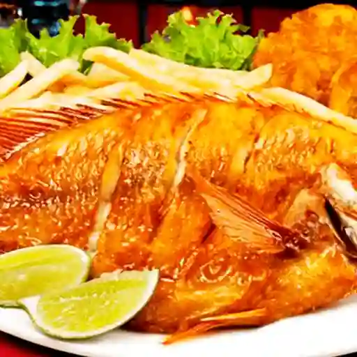 Mojarra