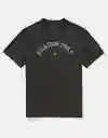 Camiseta Hombre Gris Talla LARGE 4290008 American Eagle