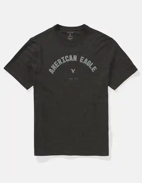 Camiseta Hombre Gris Talla LARGE 4290008 American Eagle