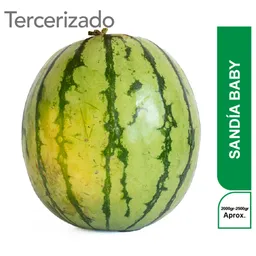 Sandia Baby Turbo