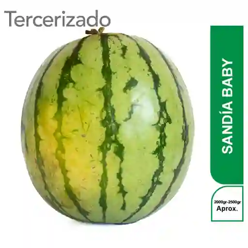 Sandia Baby Turbo