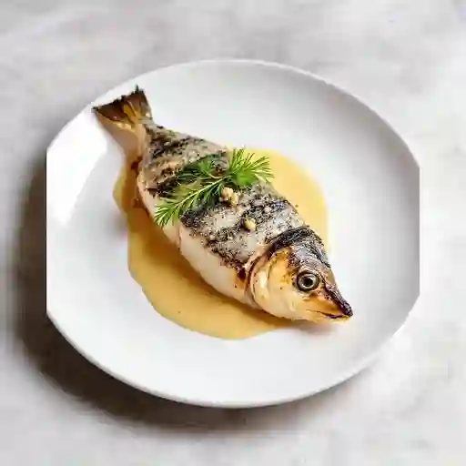 Robalo
