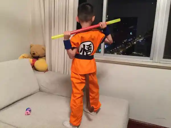 Disfraz Para Niños Dragon Ball Talla S