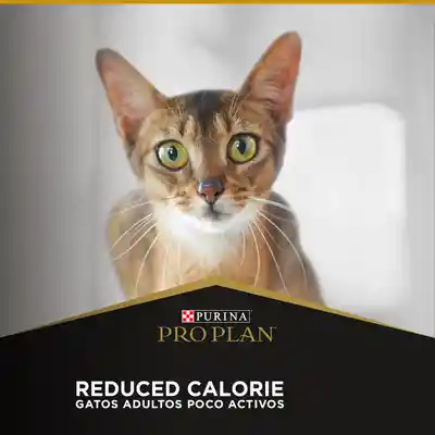 Pro Plan Alimento para Gato Reducido en Calorías