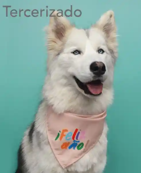 Wawaw Pañoleta Feliz Año XL