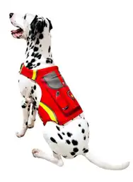 Paw Patrol Disfraz Para Mascota Marshall Surtido Talla M
