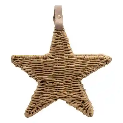 Promotora Comercio Social Estrella Autor Aza en Cuero 427194